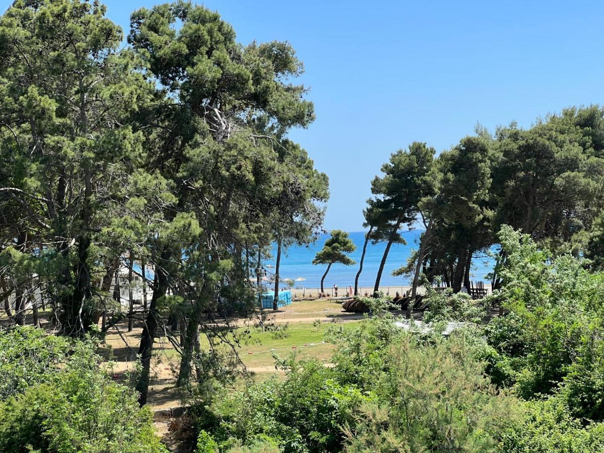 Apartments Cungu Ούλτσιν Εξωτερικό φωτογραφία